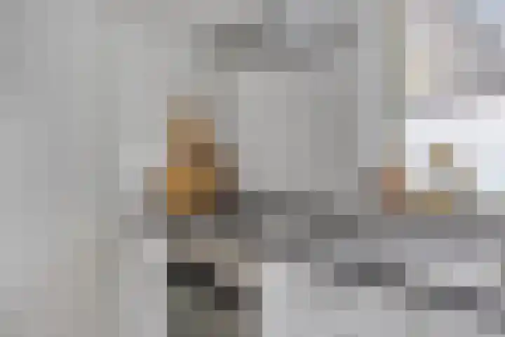 Schepen Canishof 17 Arnhem thumbnail 19