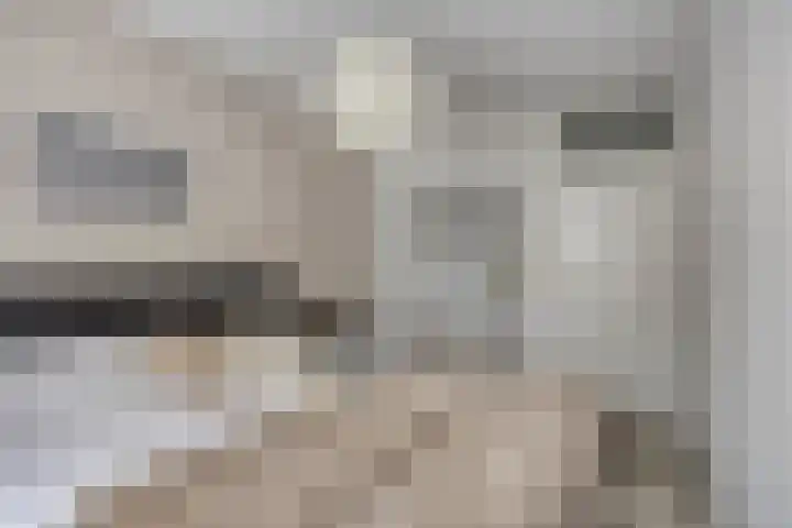 Schepen Canishof 17 Arnhem thumbnail 20