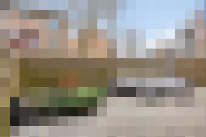 Schepen Canishof 17 Arnhem thumbnail 24