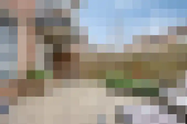 Schepen Canishof 17 Arnhem thumbnail 26