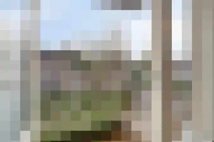 Schepen Canishof 29 Arnhem thumbnail 14