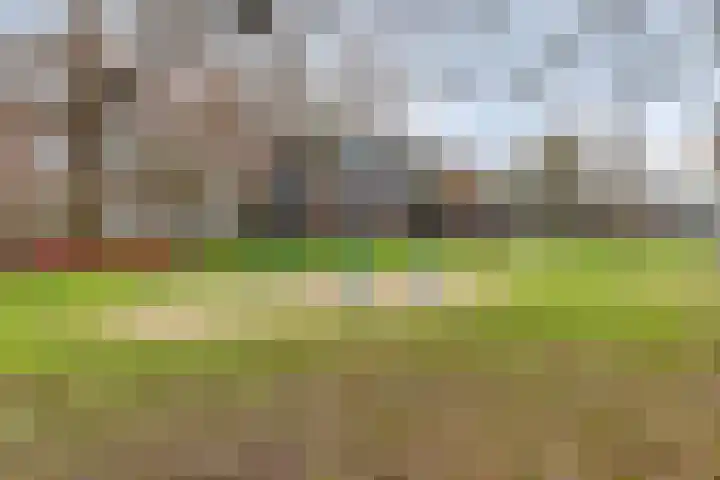 Schepen Canishof 29 Arnhem thumbnail 36