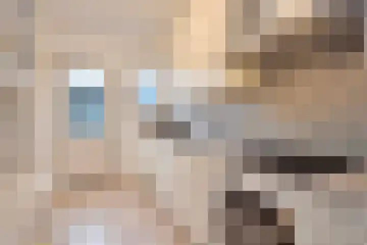 Schepen Cruysanckerstraat 13 Roermond thumbnail 5