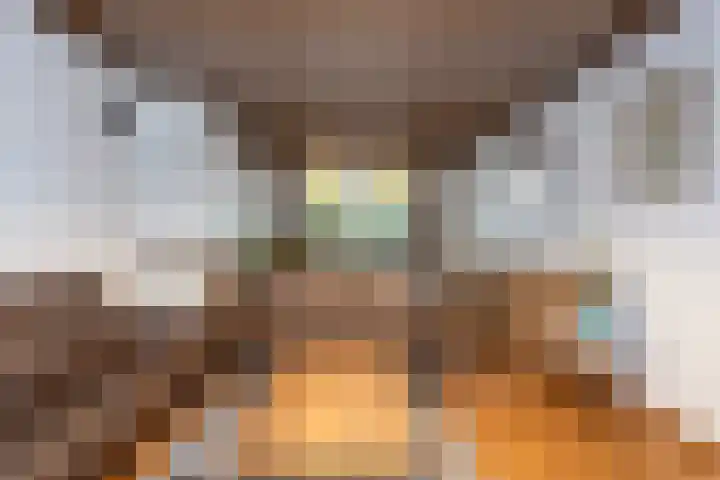 Schepen Cruysanckerstraat 13 Roermond thumbnail 8