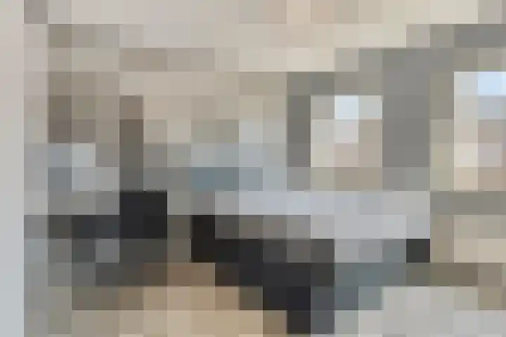 Schepen Cruysanckerstraat 3 Roermond thumbnail 17
