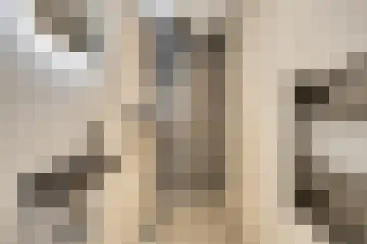 Schepen Cruysanckerstraat 3 Roermond thumbnail 18