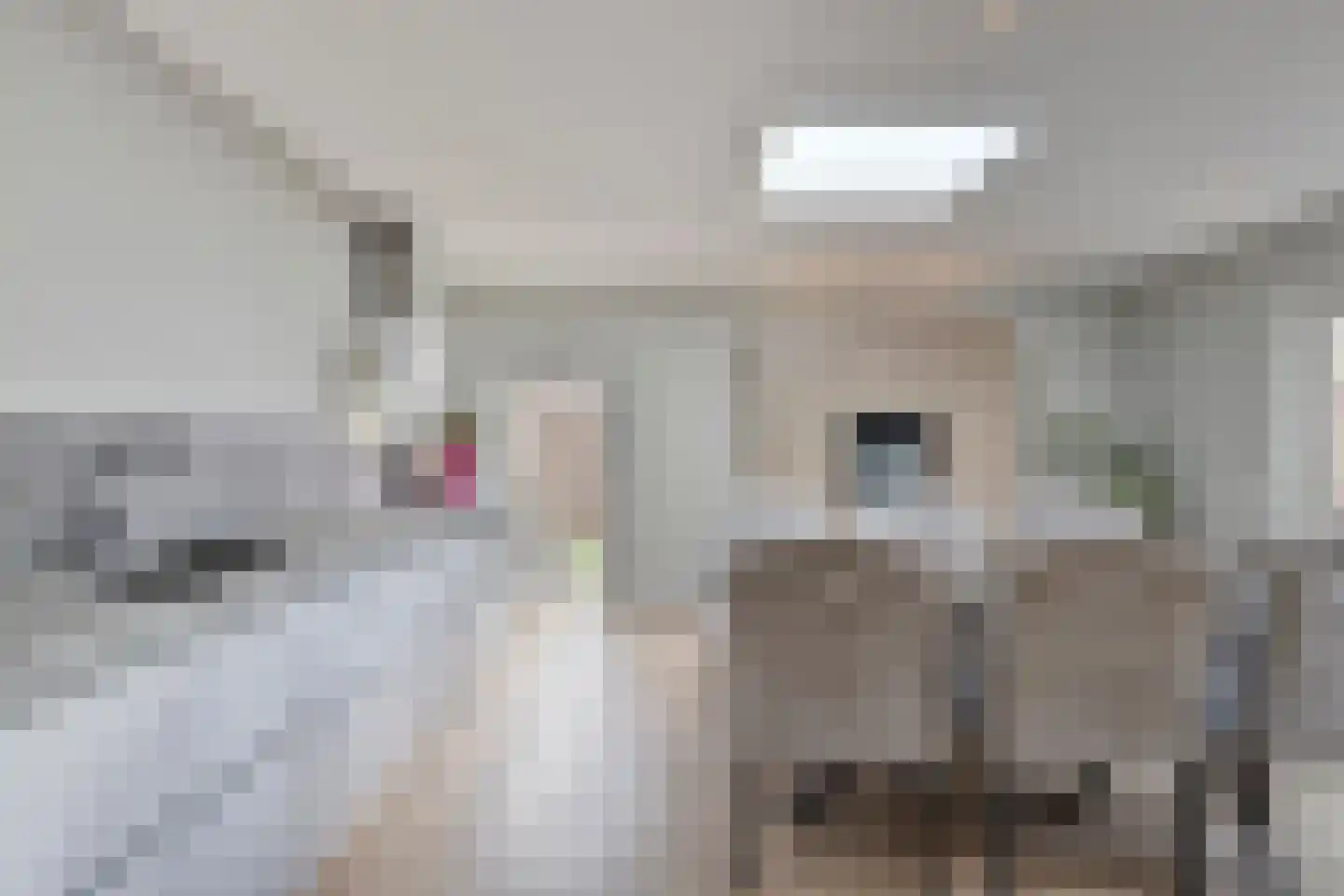Schepen de Greefflaan 12 Nuenen thumbnail 26