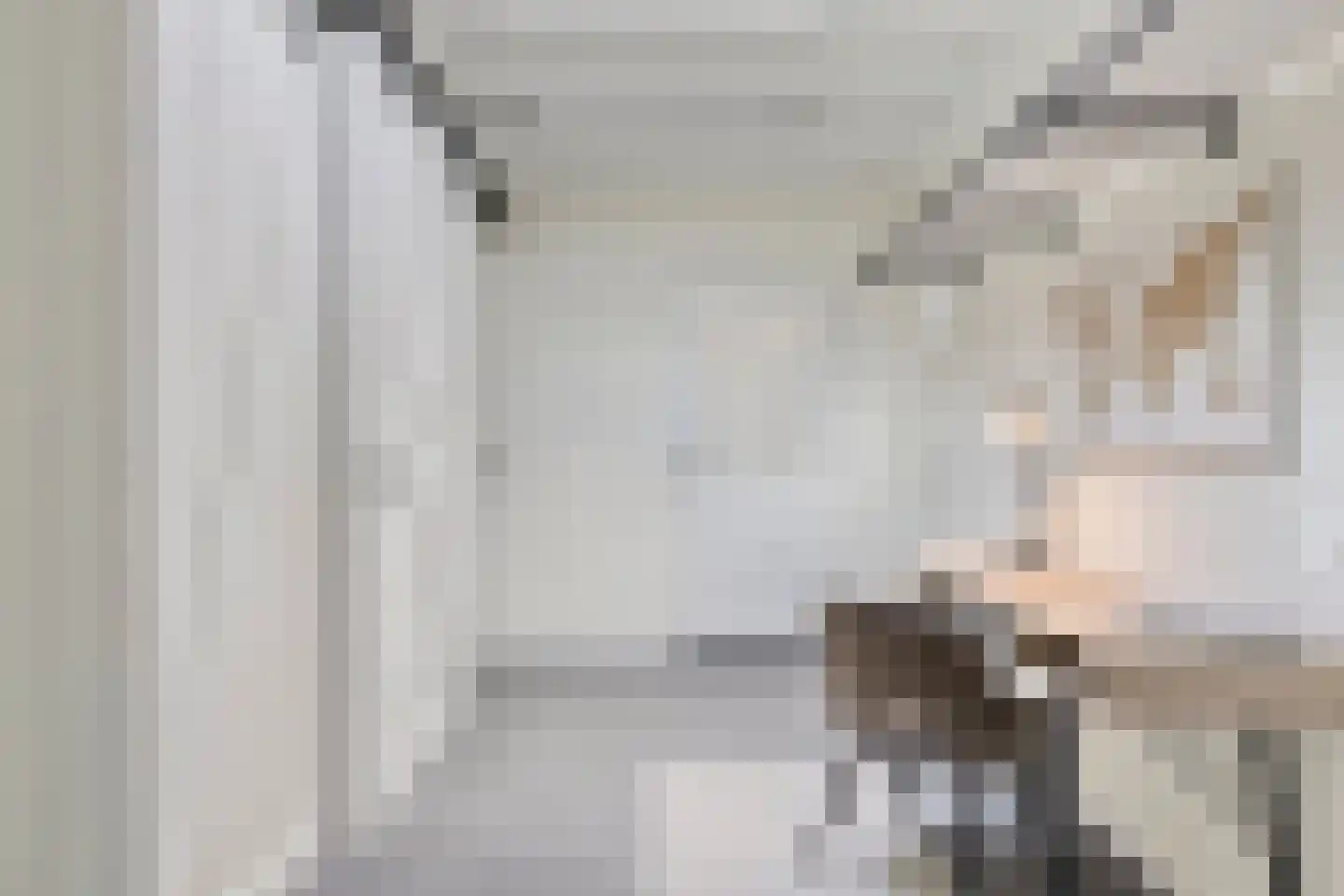 Schepen de Greefflaan 12 Nuenen thumbnail 29