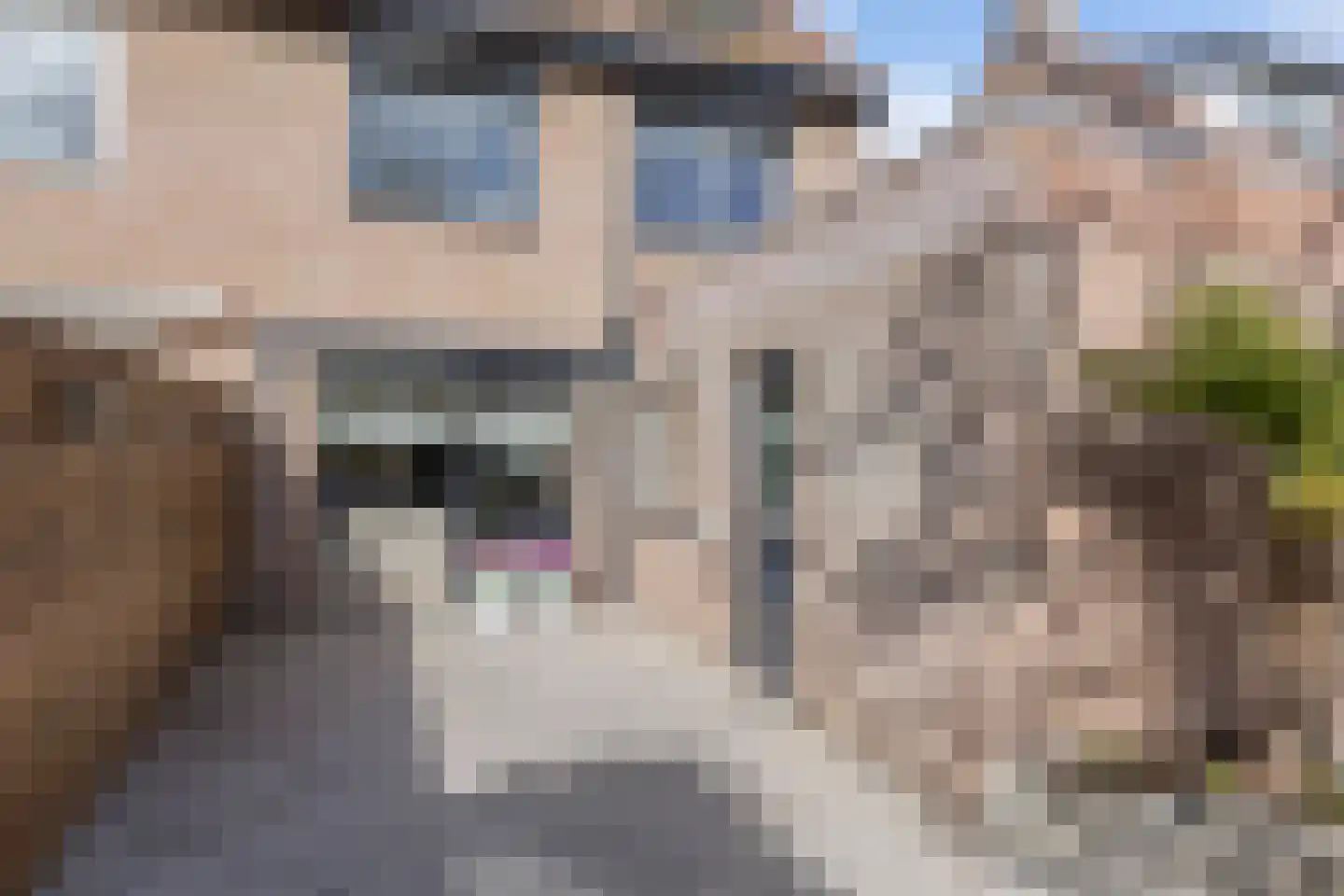 Schepen de Greefflaan 12 Nuenen thumbnail 45