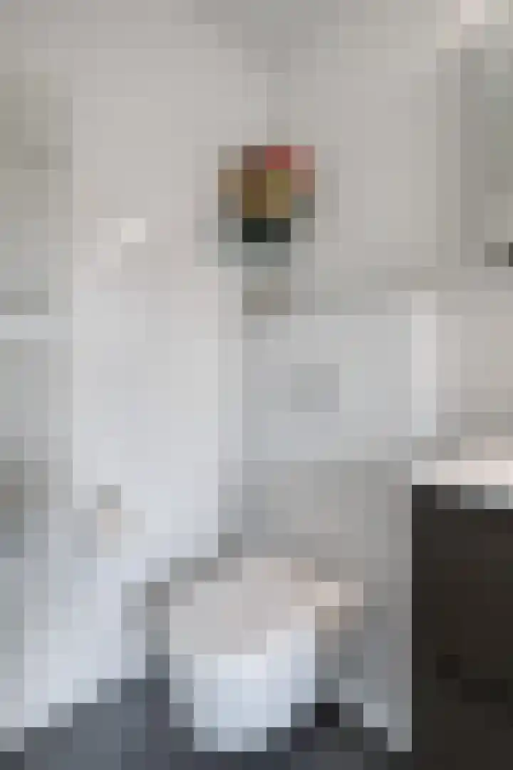 Schepen de Greefflaan 13 Nuenen thumbnail 13