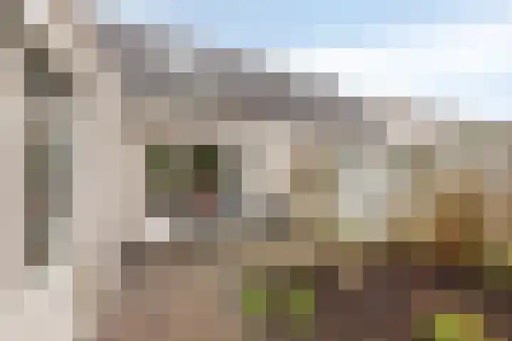 Schepen de Greefflaan 13 Nuenen thumbnail 22