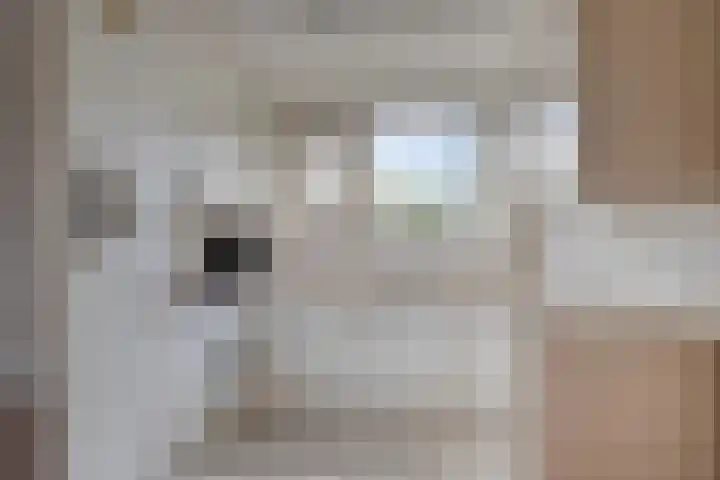 Schepen de Greefflaan 13 Nuenen foto 3