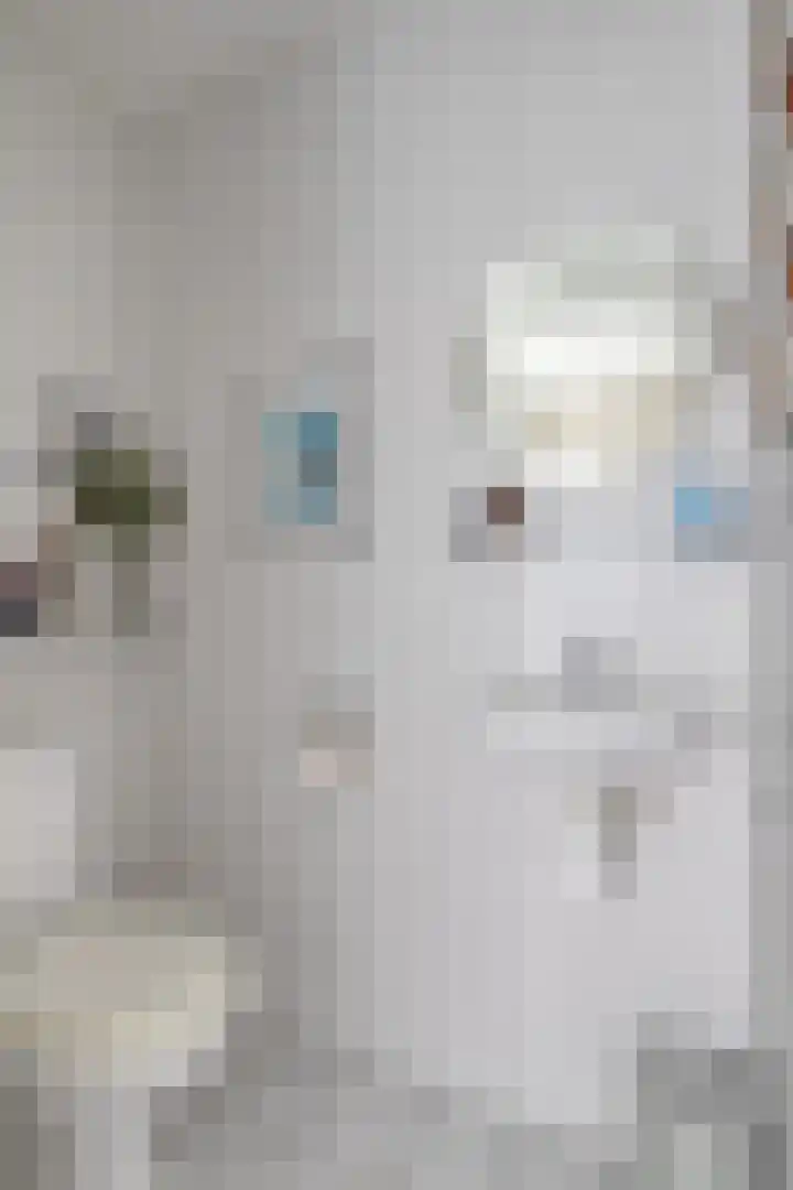 Schepen de Greefflaan 13 Nuenen thumbnail 6