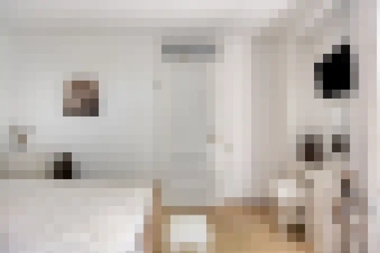Schepen de Greefflaan 23 Nuenen thumbnail 35