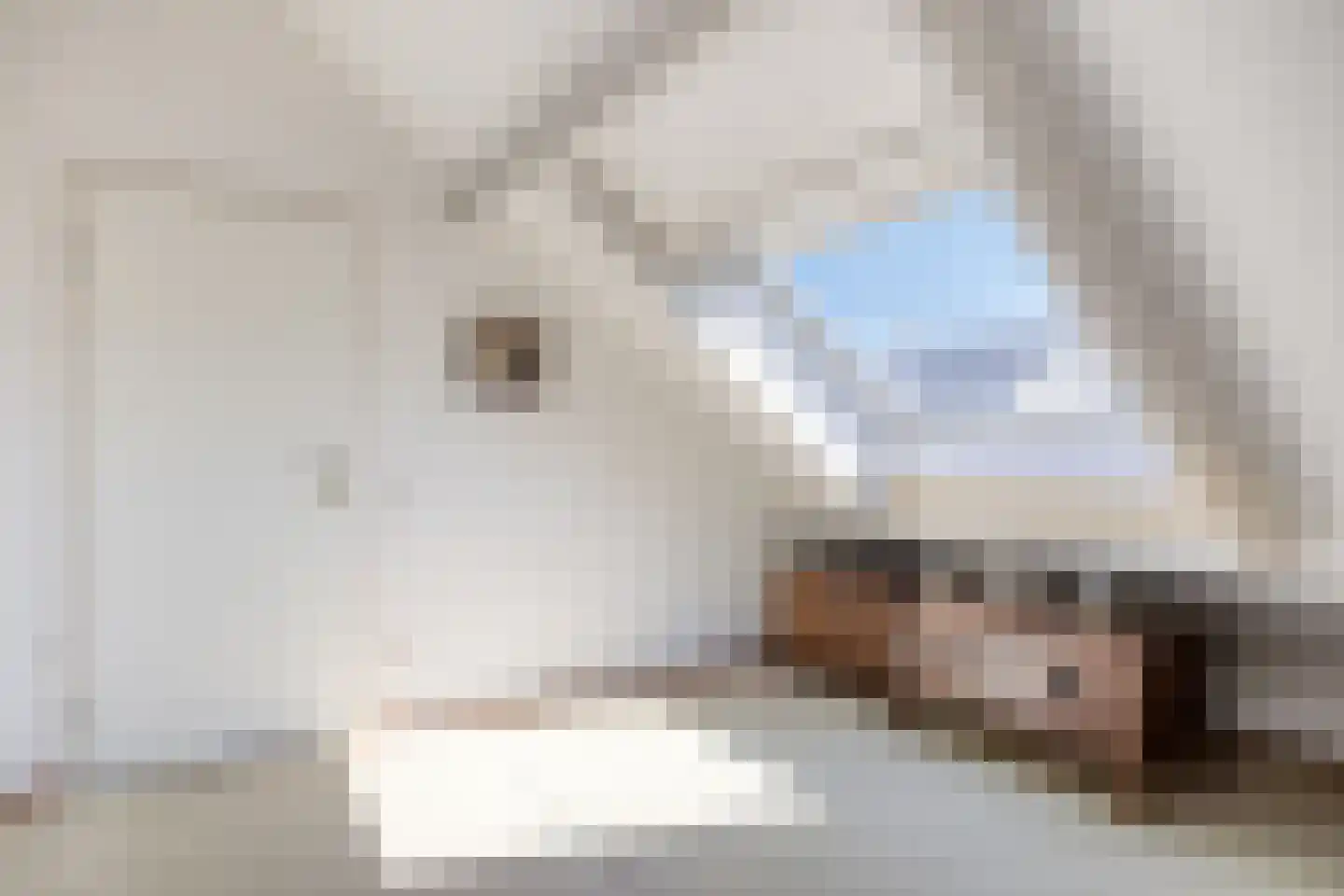 Schepen de Greefflaan 23 Nuenen thumbnail 45