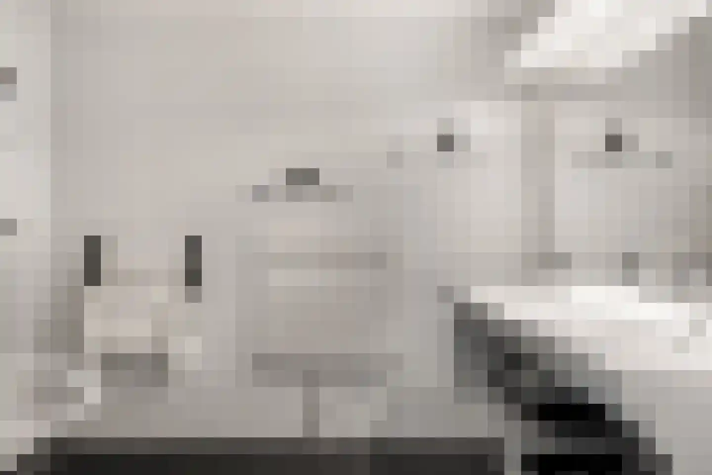Schepen de Greefflaan 23 Nuenen thumbnail 5