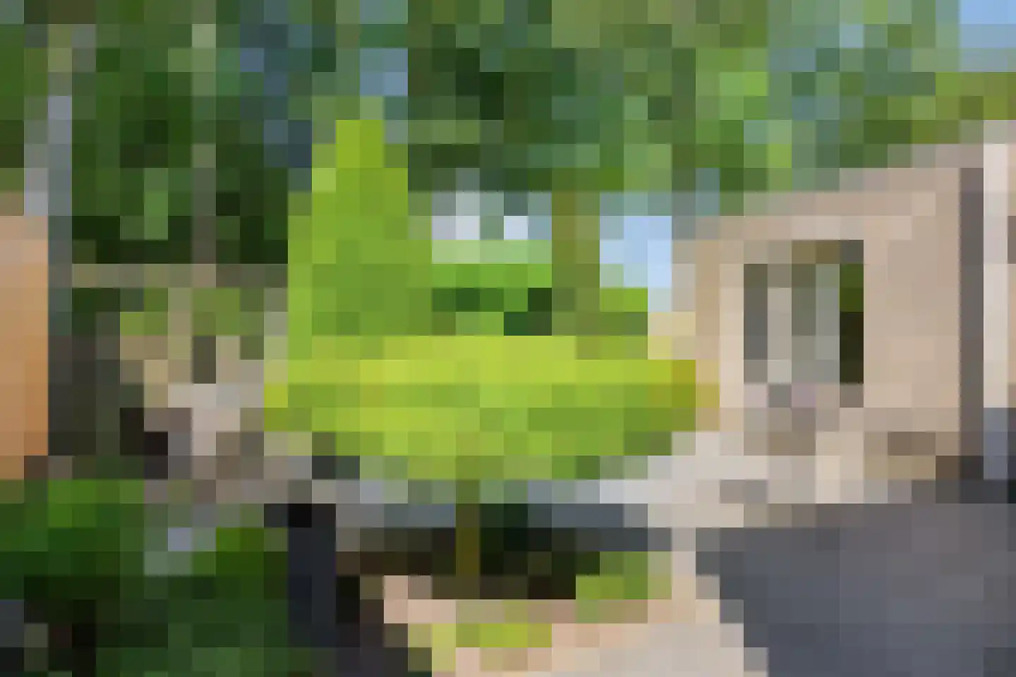 Schepen de Greefflaan 23 Nuenen thumbnail 54
