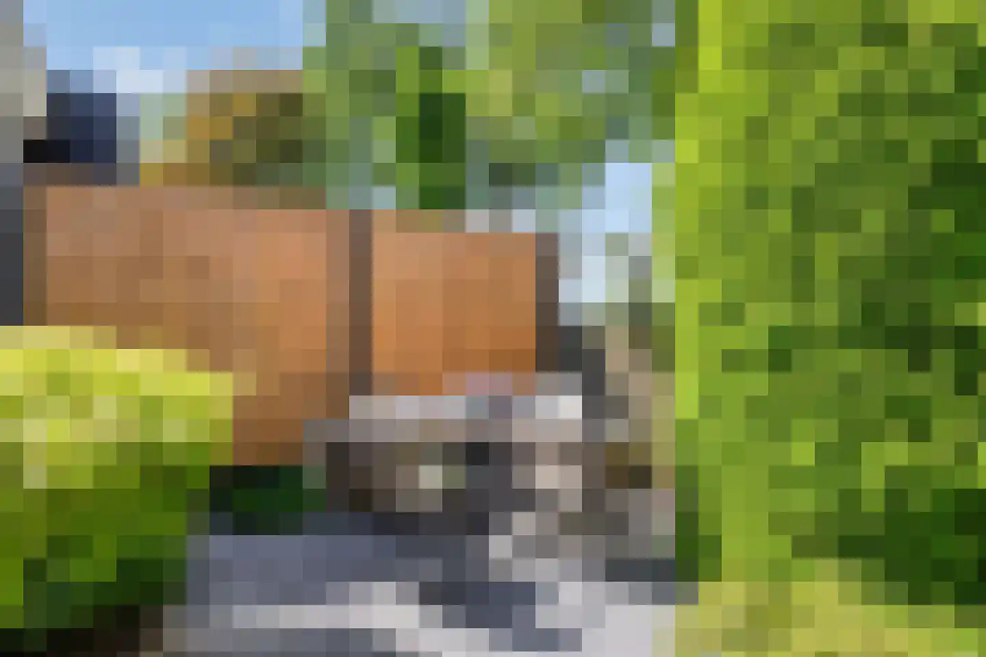 Schepen de Greefflaan 23 Nuenen thumbnail 55