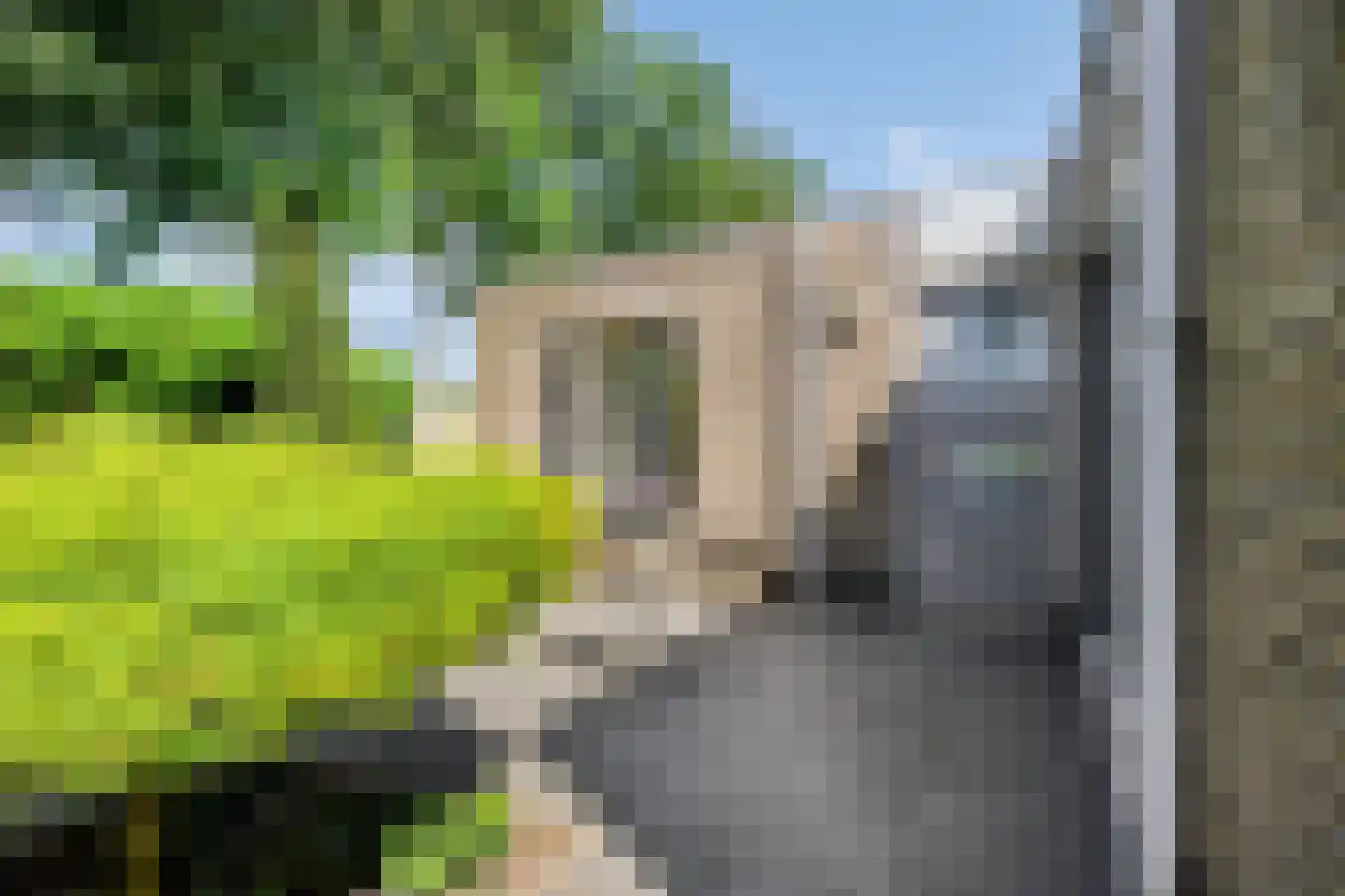 Schepen de Greefflaan 23 Nuenen thumbnail 56
