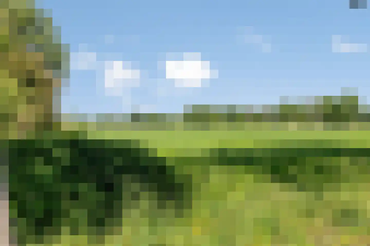 Schepen de Greefflaan 23 Nuenen thumbnail 58