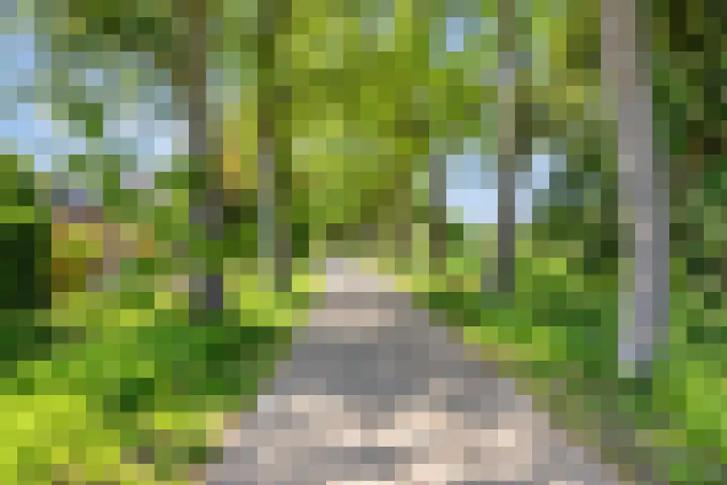 Schepen de Greefflaan 23 Nuenen thumbnail 59