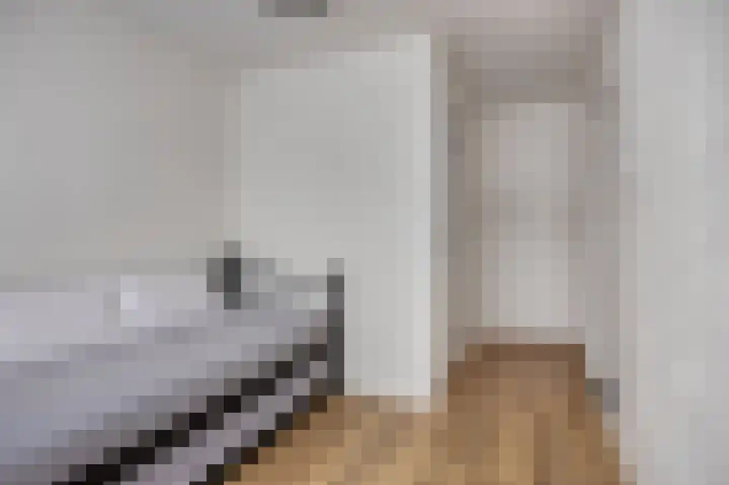 Schepen de Wicstraat 36 Maastricht thumbnail 5