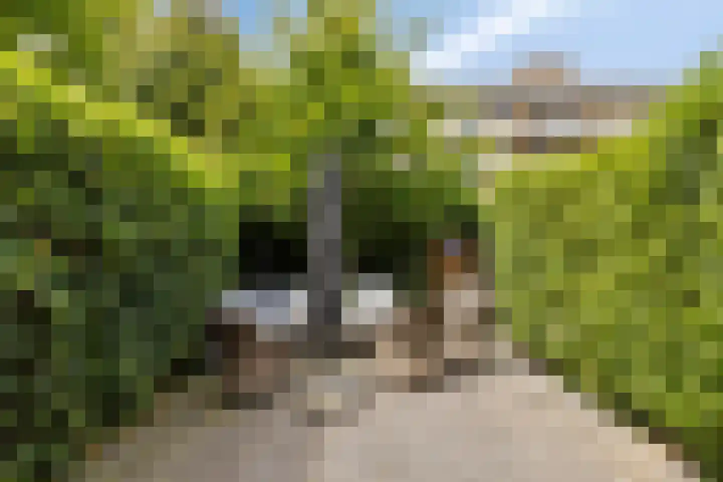Schepen de Wicstraat 48 Maastricht thumbnail 33