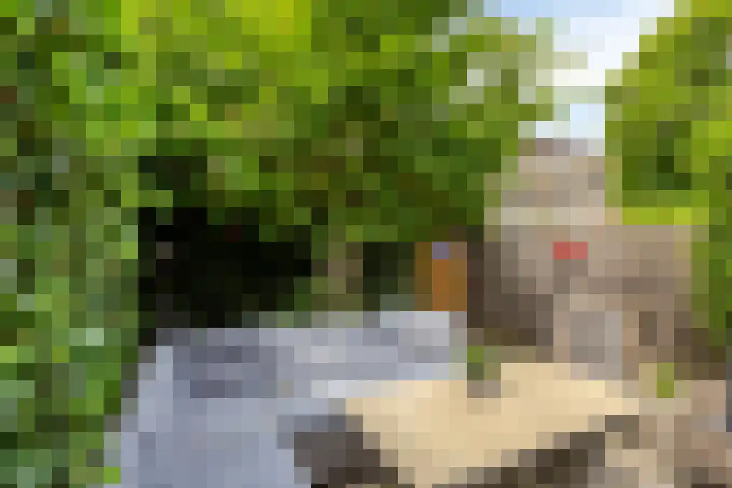 Schepen de Wicstraat 48 Maastricht thumbnail 35