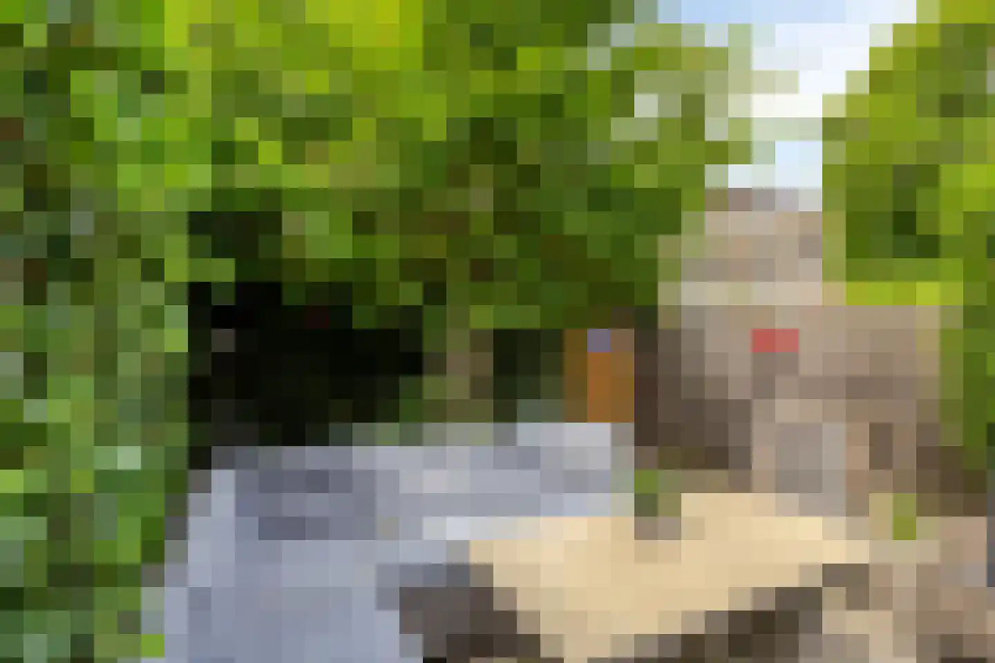 Schepen de Wicstraat 48 Maastricht thumbnail 35