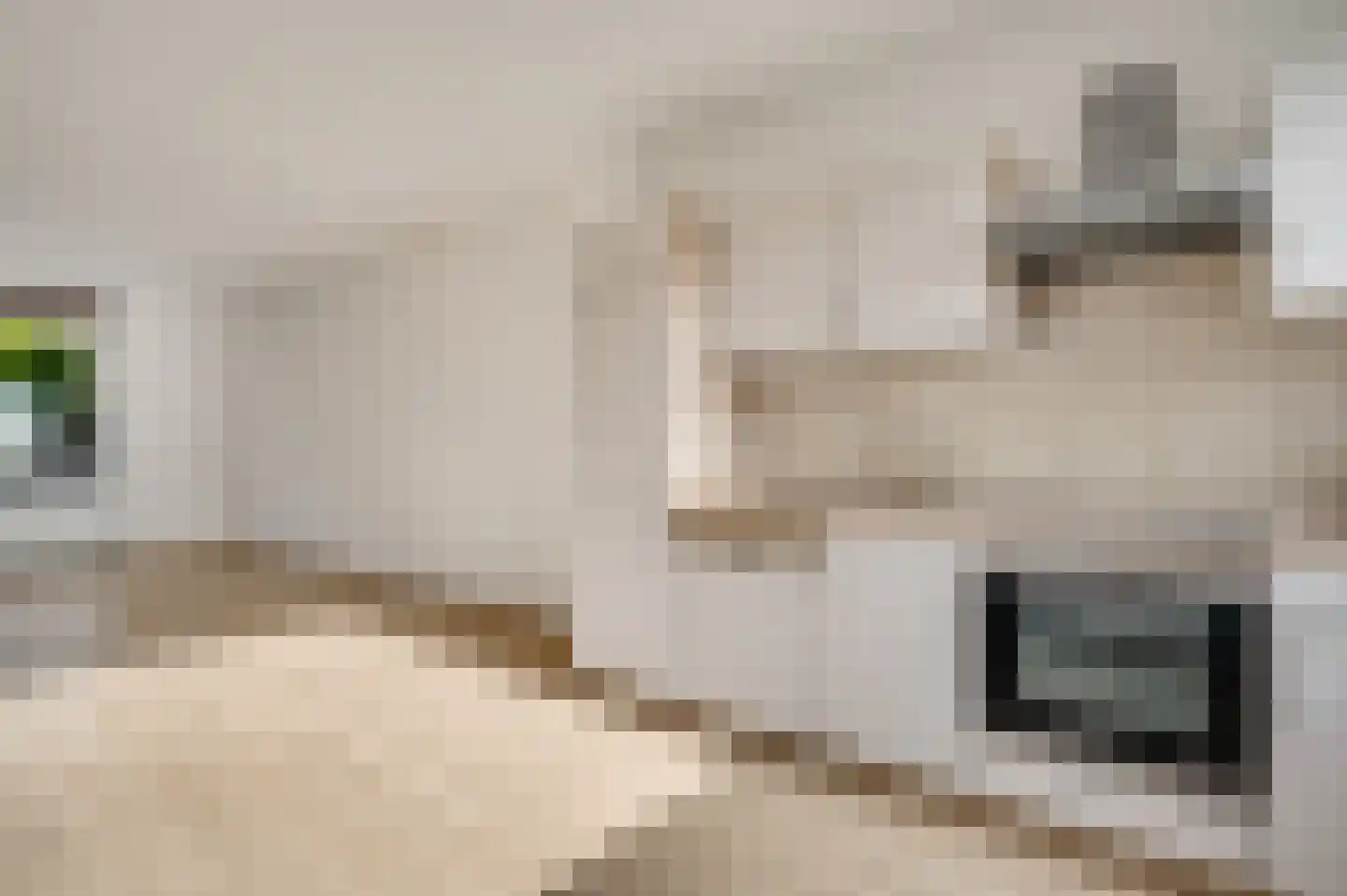 Schepen Fabritiusstraat 21 Roermond thumbnail 12