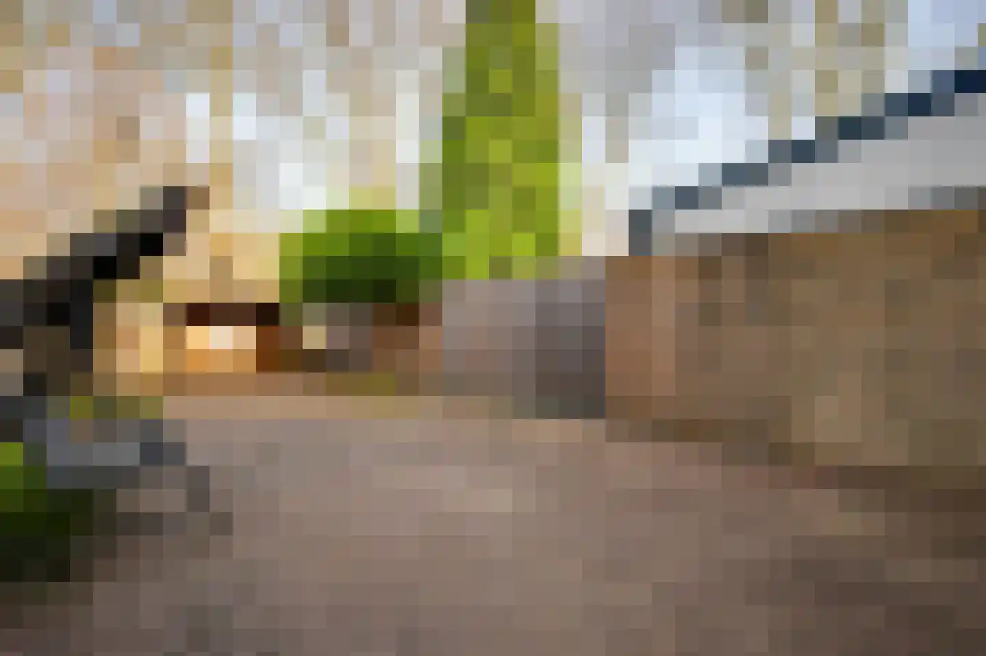 Schepen Fabritiusstraat 21 Roermond thumbnail 23