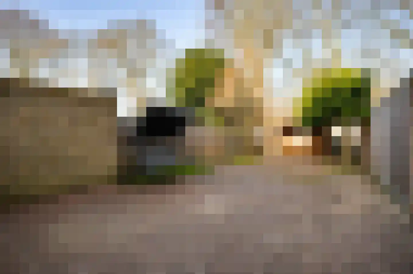 Schepen Fabritiusstraat 21 Roermond thumbnail 24