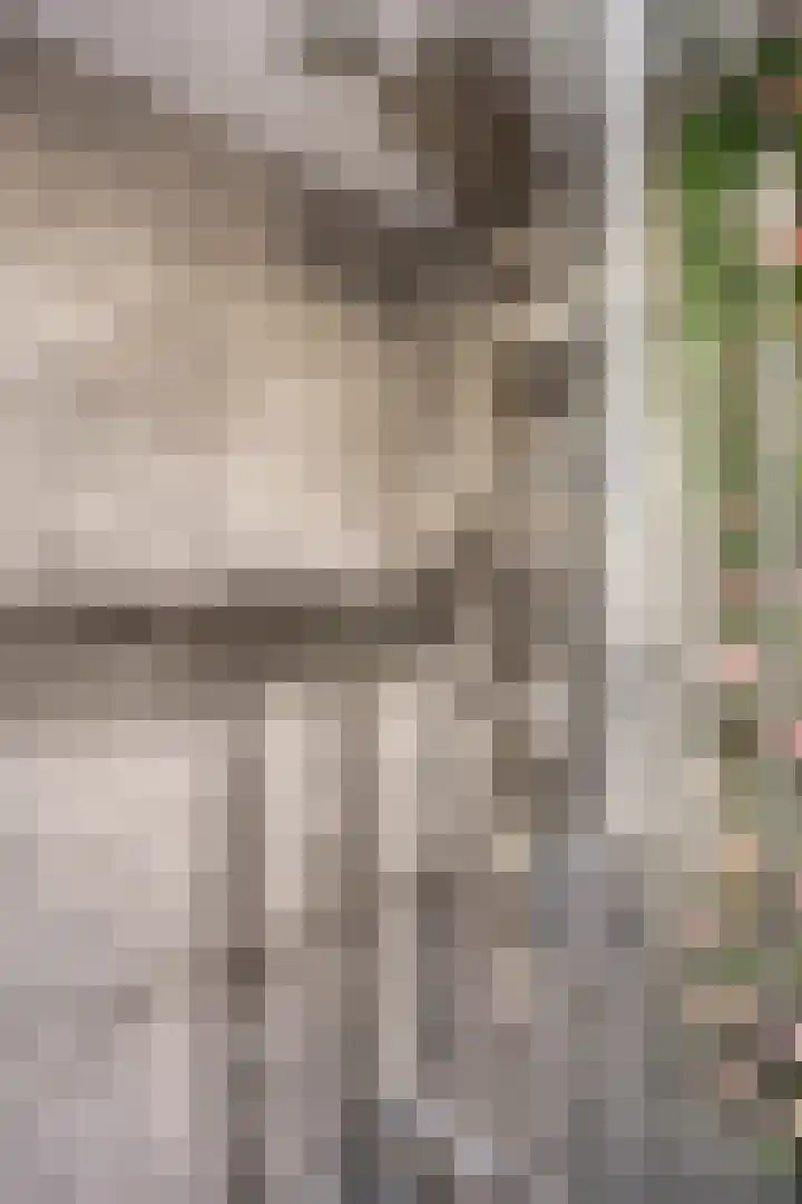 Schepen Hillenstraat 6 Roermond thumbnail 30