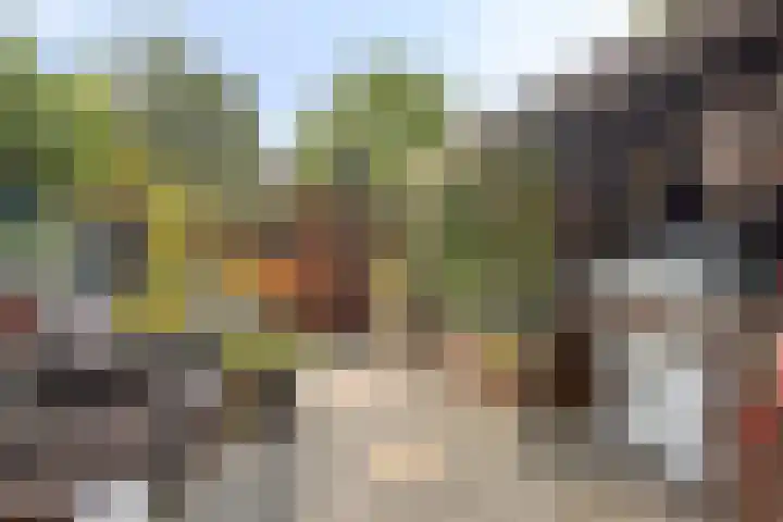 Schepen Hillenstraat 6 Roermond thumbnail 36