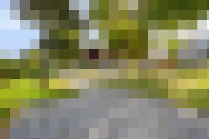 Schepen Hillenstraat 6 Roermond thumbnail 43