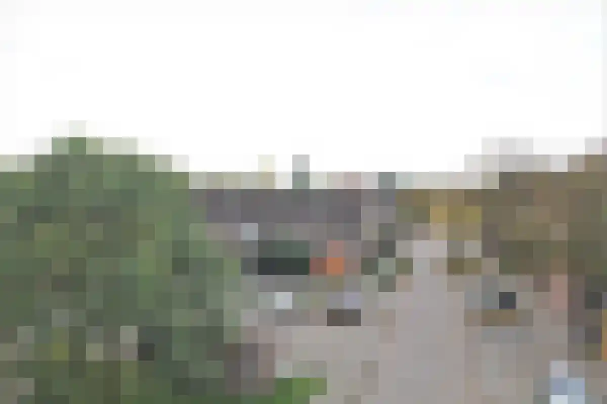 Schepen Ketelhoethof 48 Arnhem thumbnail 4