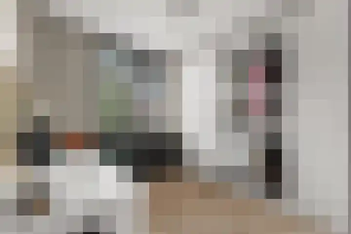 Schepen Leijdeckerstraat 18 Arnhem thumbnail 18