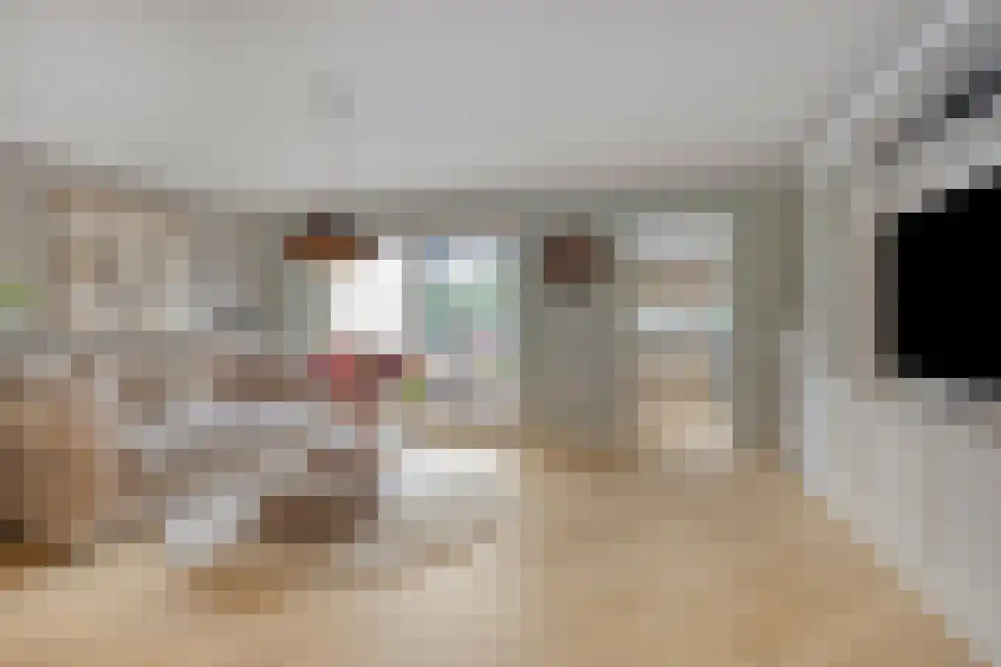 Schepen Maaslaan 15 Nuenen thumbnail 11
