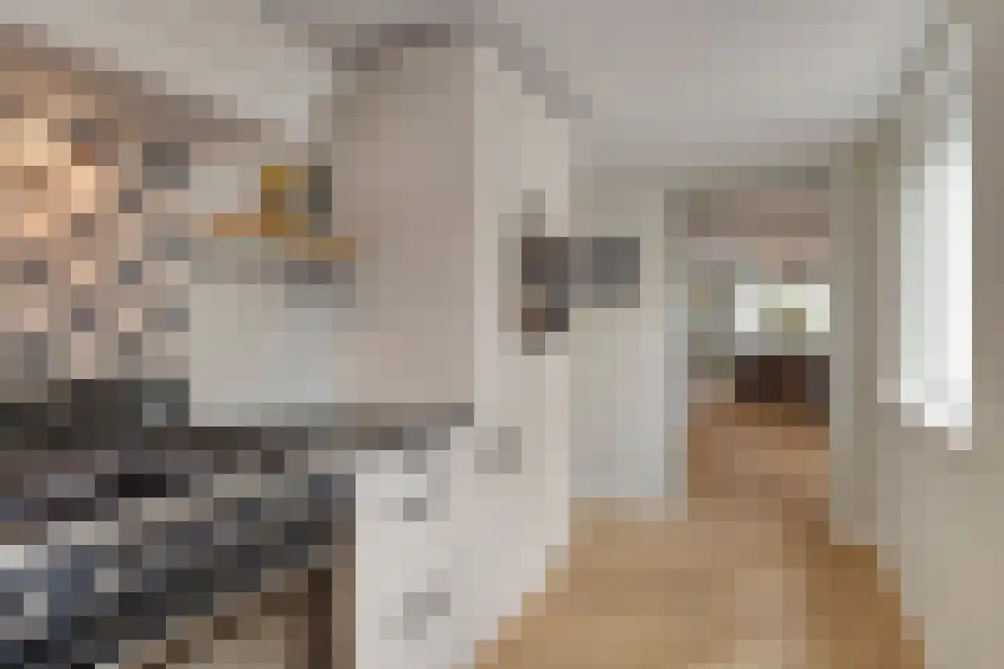 Schepen Maaslaan 15 Nuenen thumbnail 15