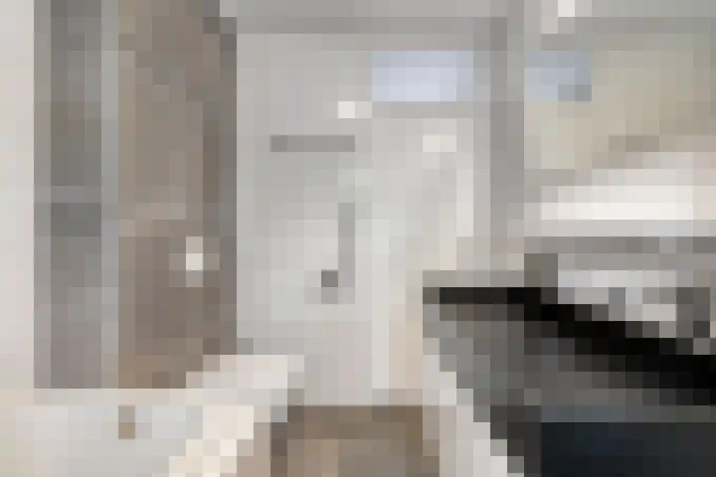 Schepen Maaslaan 15 Nuenen thumbnail 22