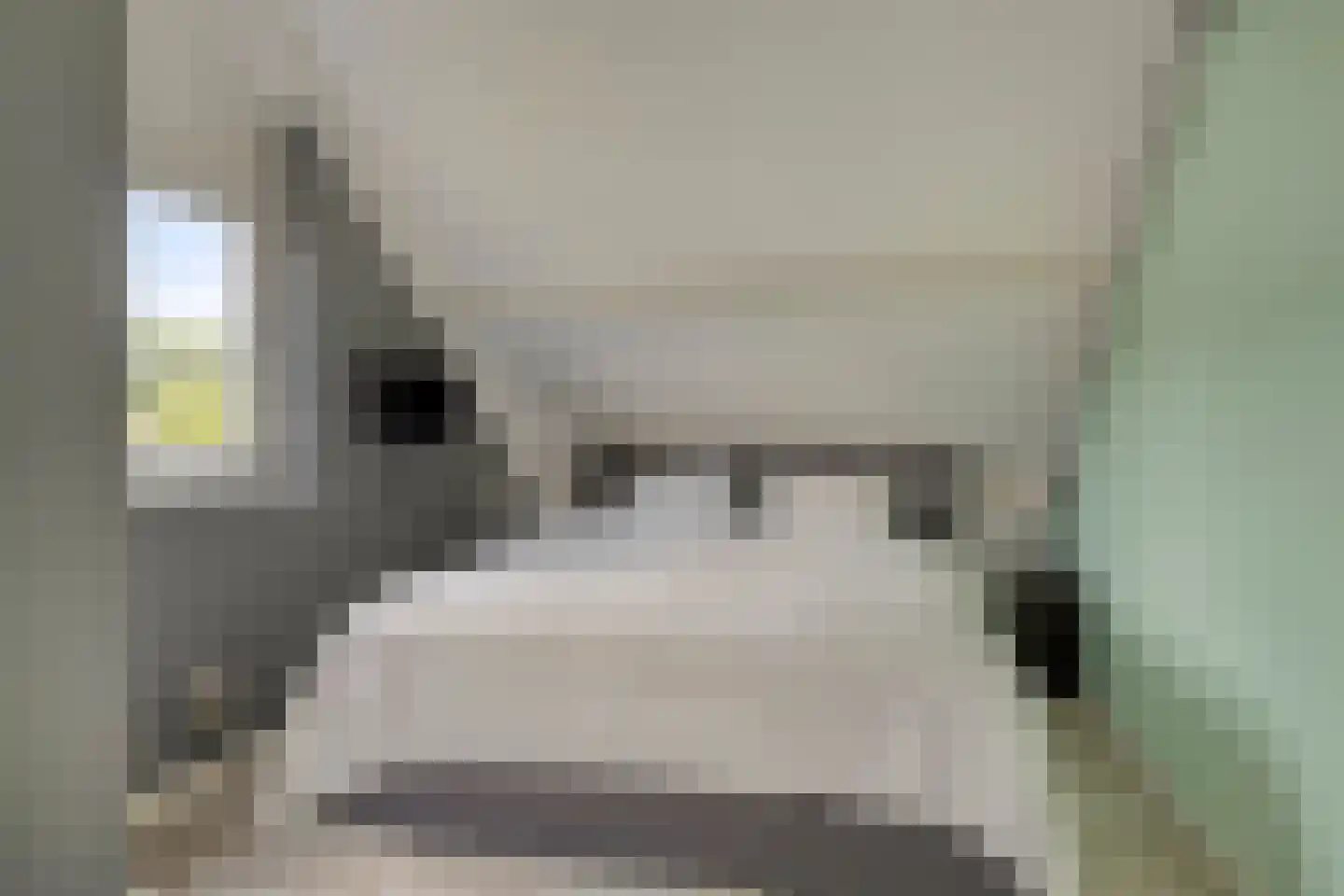 Schepen Maaslaan 15 Nuenen thumbnail 24