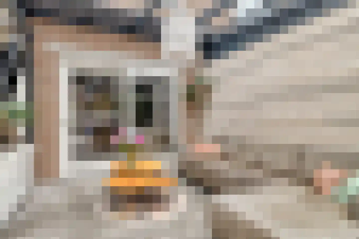 Schepen Maaslaan 15 Nuenen foto 3