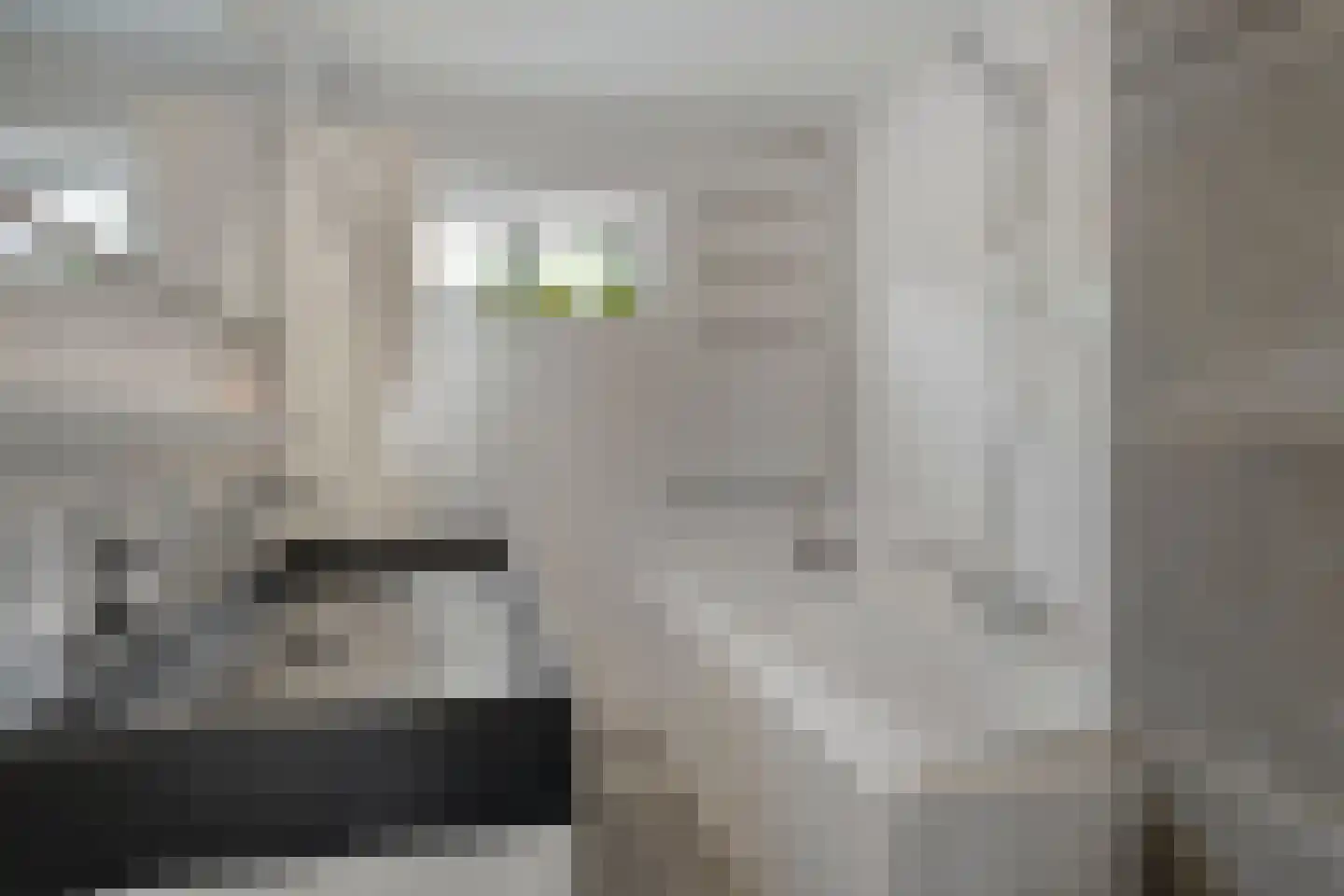 Schepen Maaslaan 15 Nuenen thumbnail 9