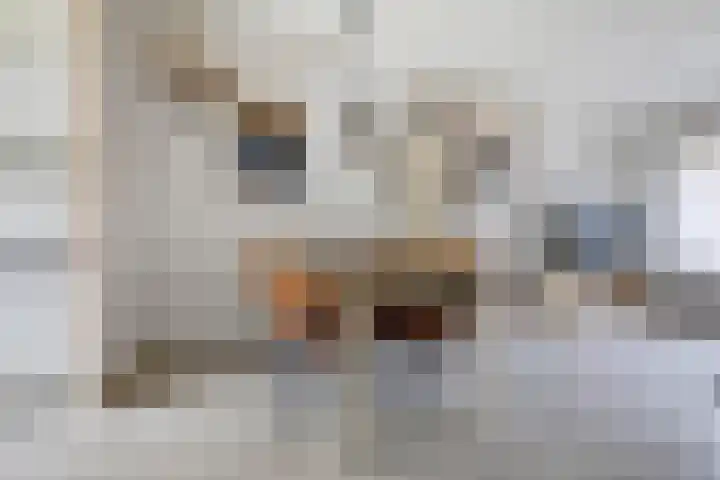 Schepen Mijnschartstraat 3 Arnhem thumbnail 15