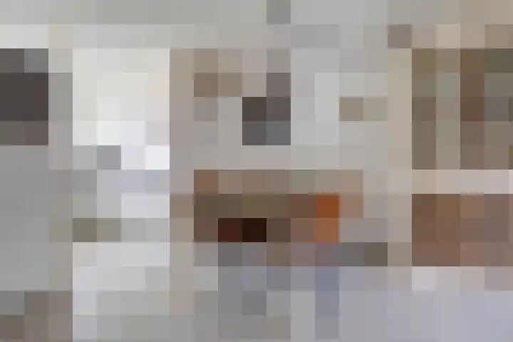 Schepen Mijnschartstraat 3 Arnhem thumbnail 16