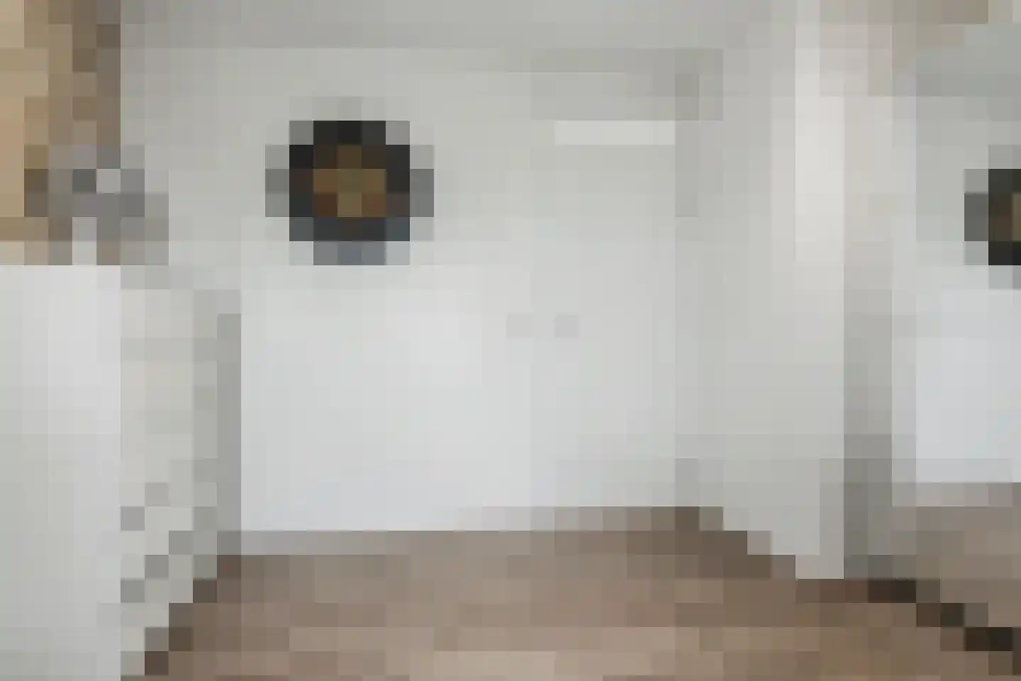 Schepen Mijnschartstraat 84 Arnhem thumbnail 17