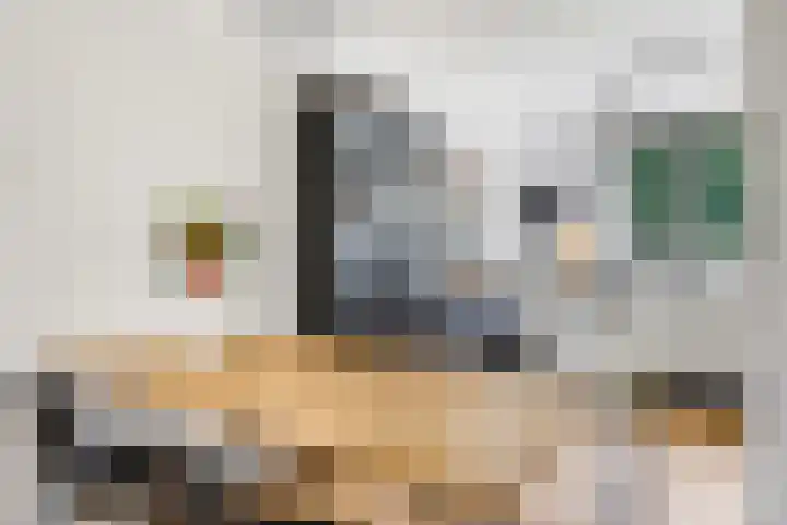 Schepen Monetariusstraat 48 Arnhem thumbnail 24
