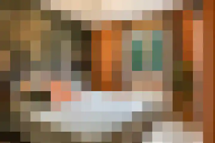Schepen Monetariusstraat 48 Arnhem thumbnail 37