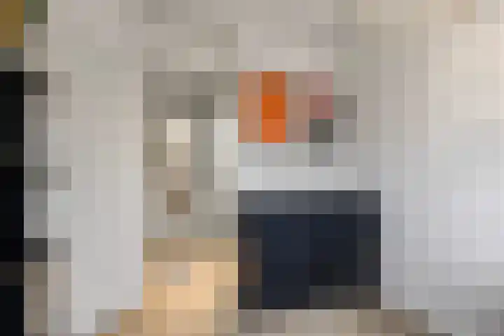 Schepen Monetariusstraat 48 Arnhem thumbnail 40