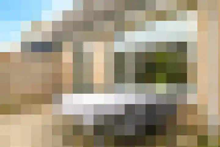 Schepen Monetariusstraat 48 Arnhem thumbnail 59
